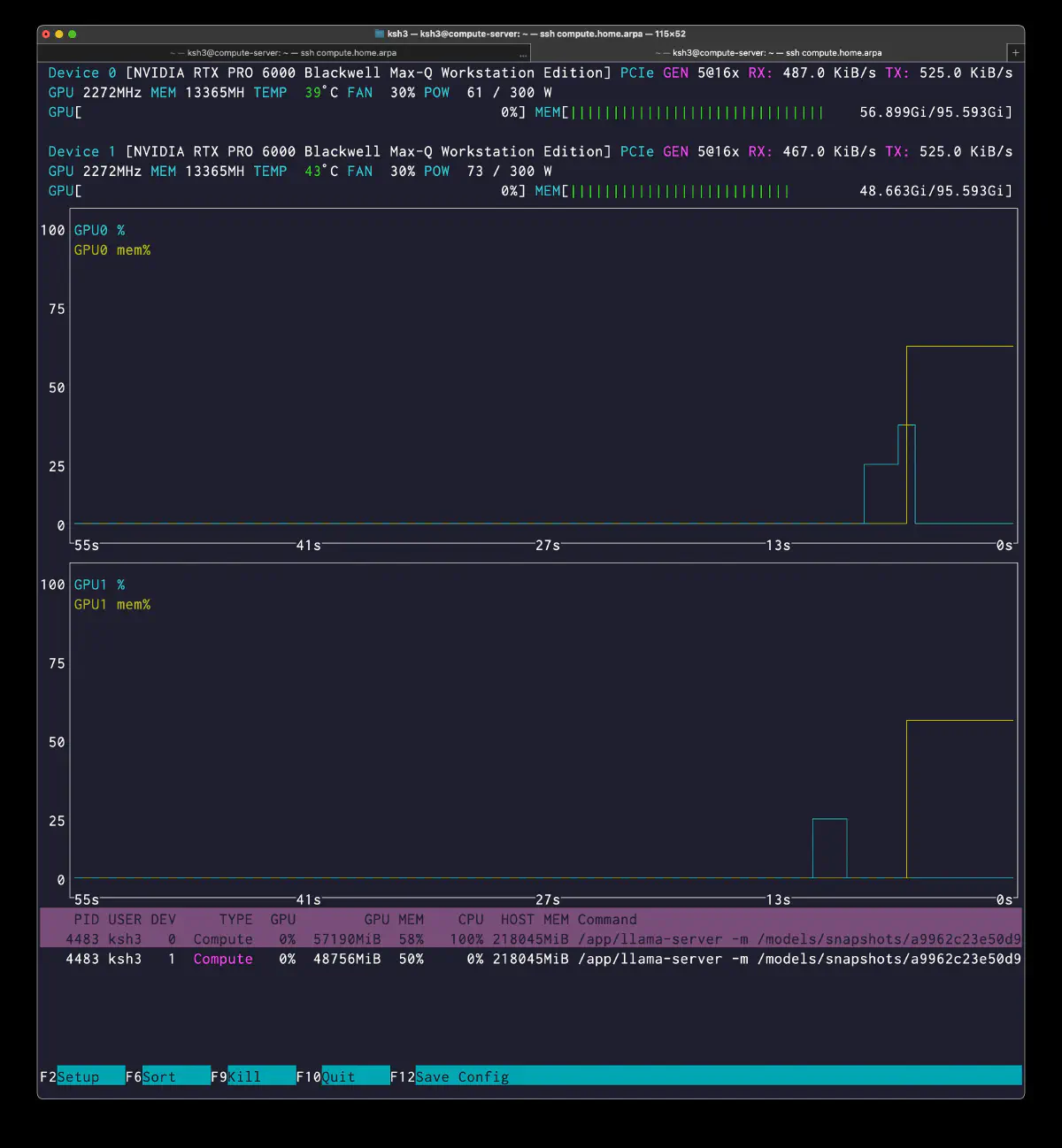 head 12 層と tail 10 層を 2GPU に分散配置した nvtop